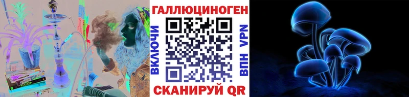 Галлюциногенные грибы Psilocybe  Цимлянск 