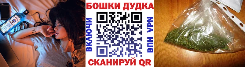 Конопля сатива  Цимлянск 